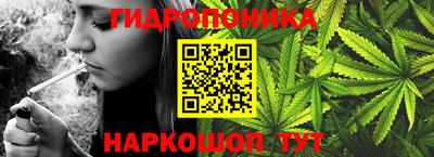 spice Ставрополь