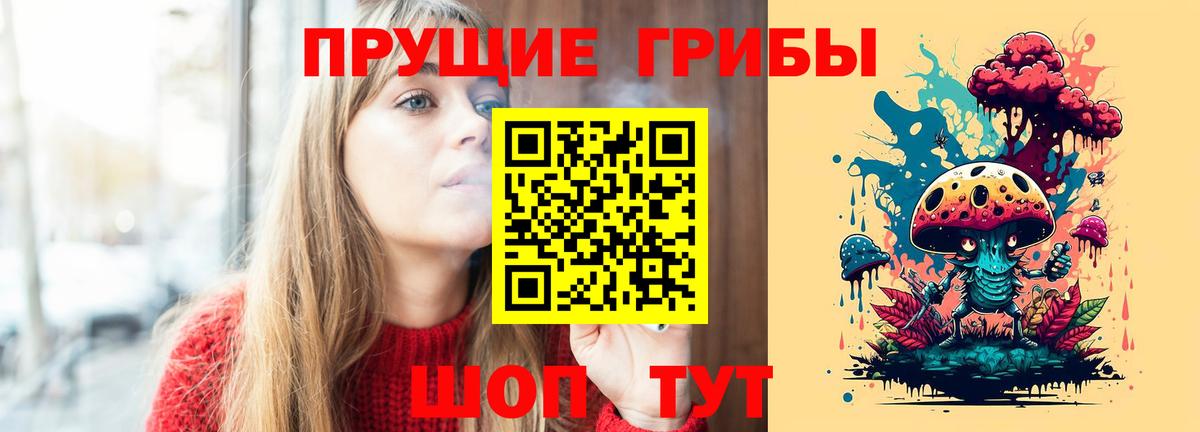 Псилоцибиновые грибы Psilocybe Новозыбков